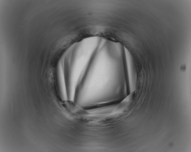 X0000091950280200709271332