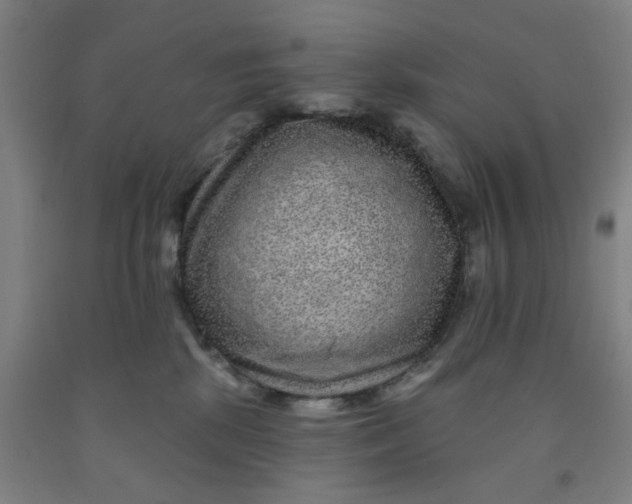 X0000091950281200709271332