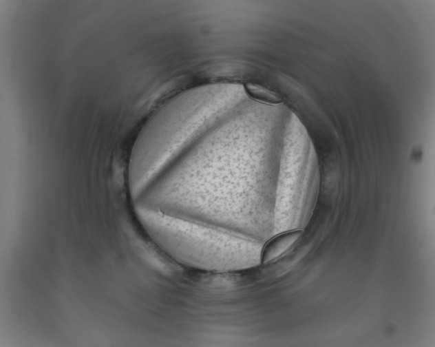 X0000091950282200709271332