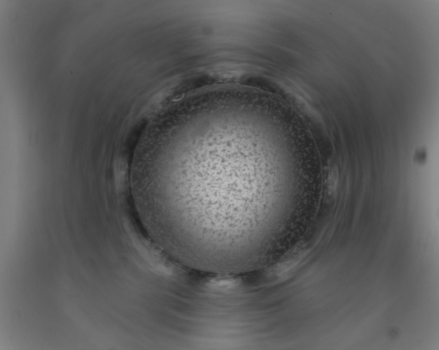 X0000091950283200709271332