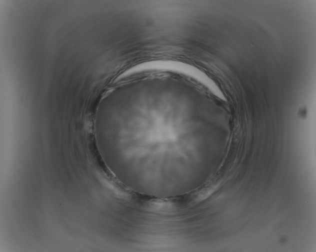 X0000091950284200709271332