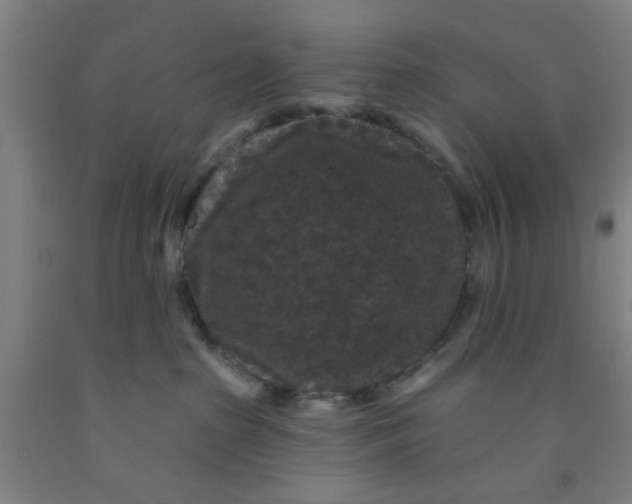 X0000091950285200709271332