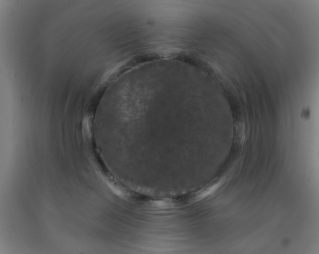 X0000091950286200709271332