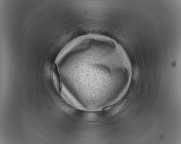 X0000091950287200709271332