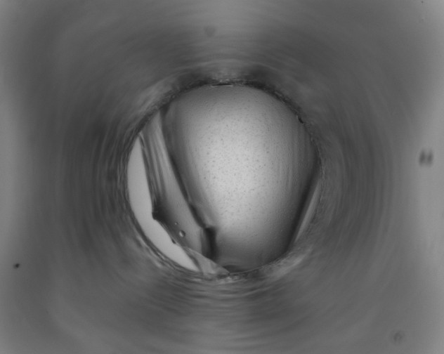 X0000091950288200709271332