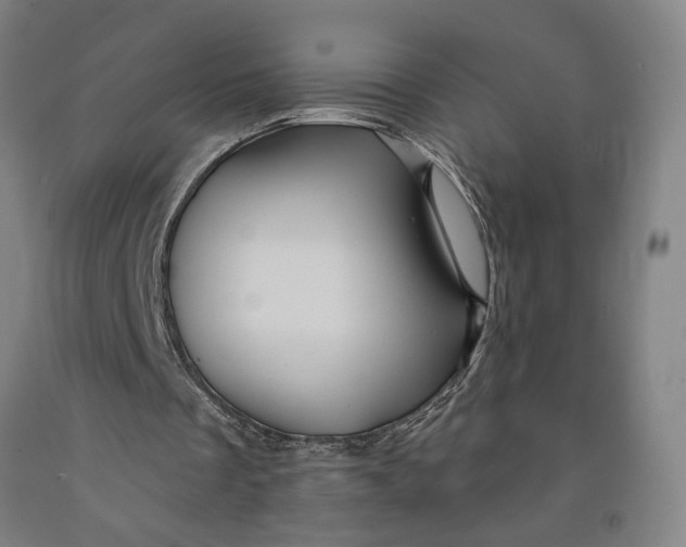 X0000091950289200709271331