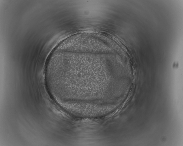 X0000091950290200709271331