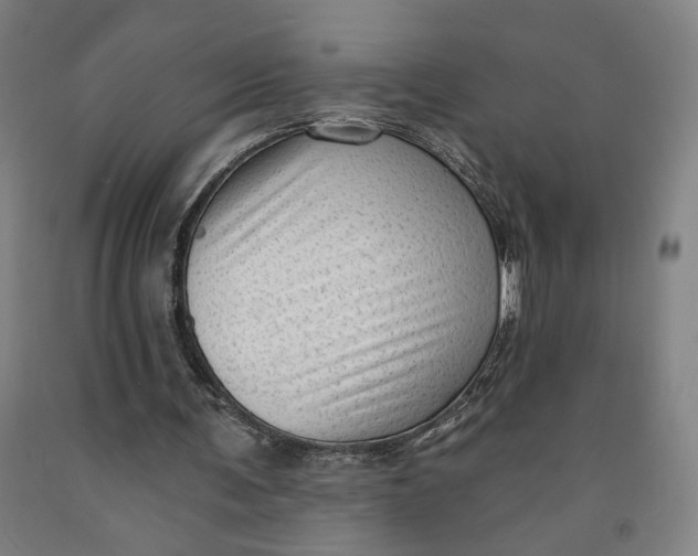 X0000091950291200709271331