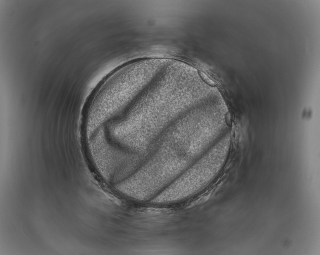 X0000091950292200709271331