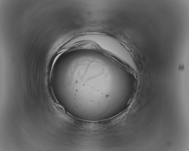 X0000091950293200709271331