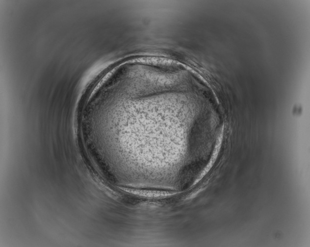 X0000091950294200709271331