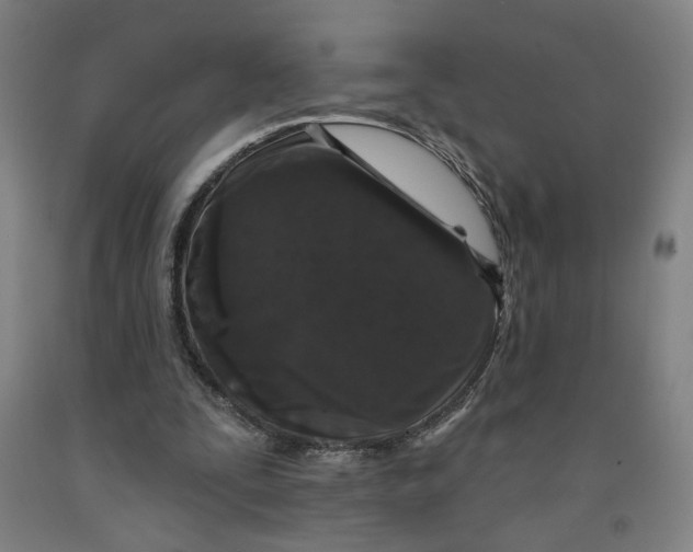 X0000091950295200709271331