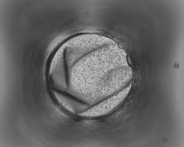 X0000091950296200709271331