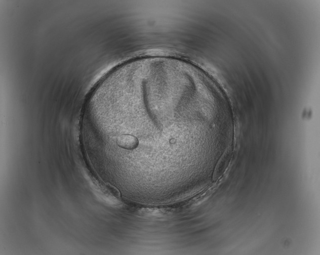 X0000091950297200709271331