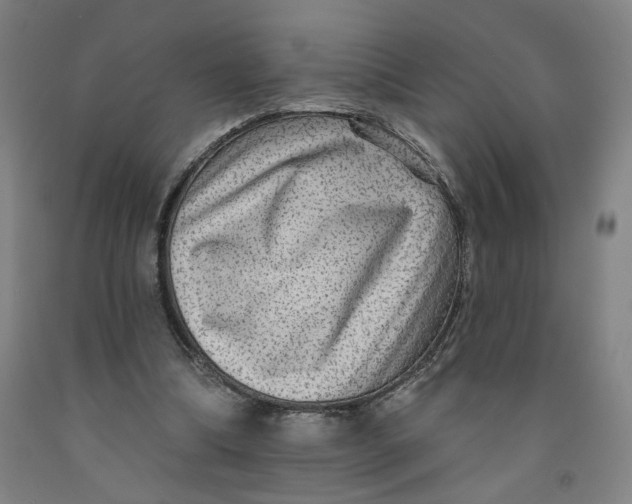 X0000091950298200709271331