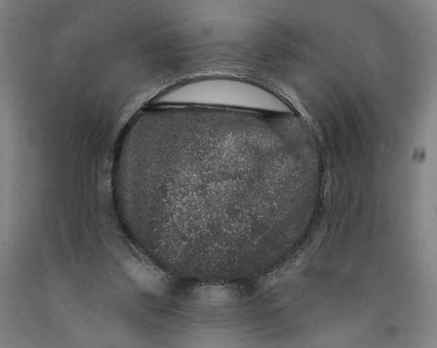 X0000091950299200709271331