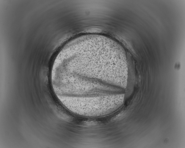 X0000091950300200709271331