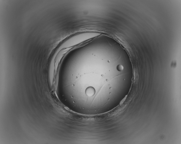 X0000091950301200709271331