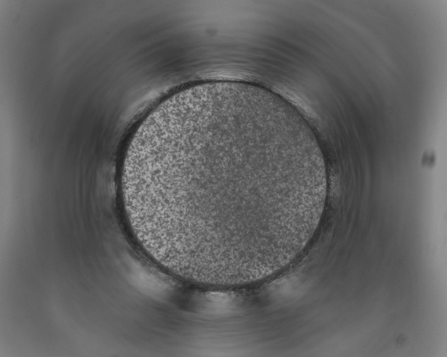 X0000091950302200709271331