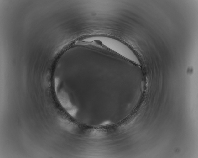 X0000091950303200709271331