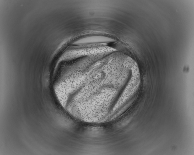 X0000091950304200709271331