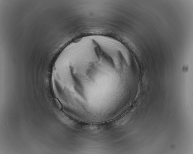 X0000091950305200709271331