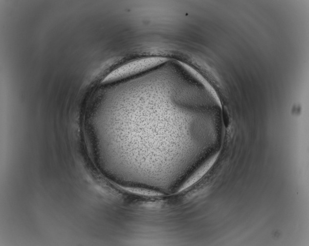 X0000091950306200709271331