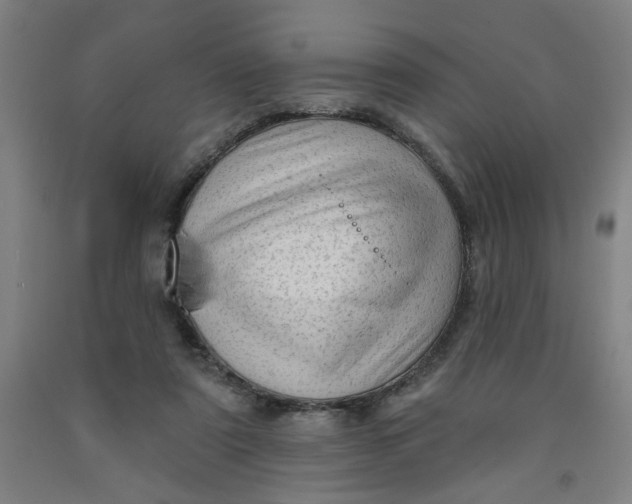 X0000091950307200709271331