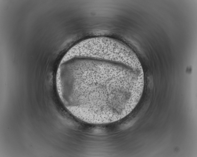 X0000091950308200709271331