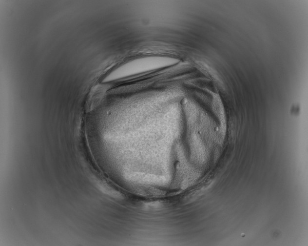 X0000091950309200709271331