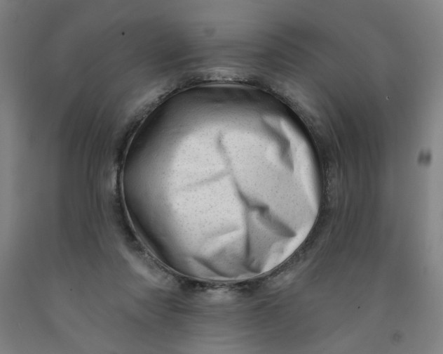 X0000091950310200709271331