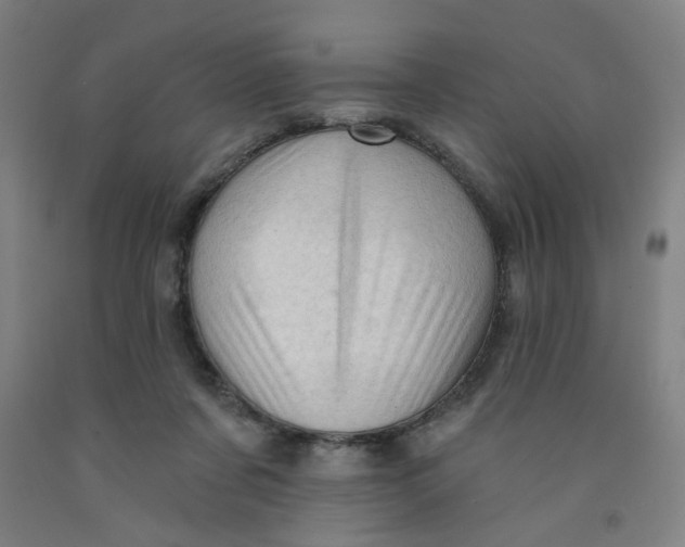 X0000091950311200709271331