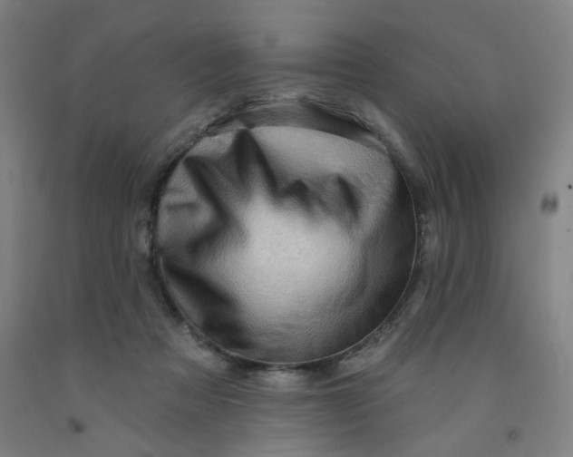 X0000091950313200709271331