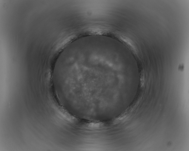 X0000091950314200709271331