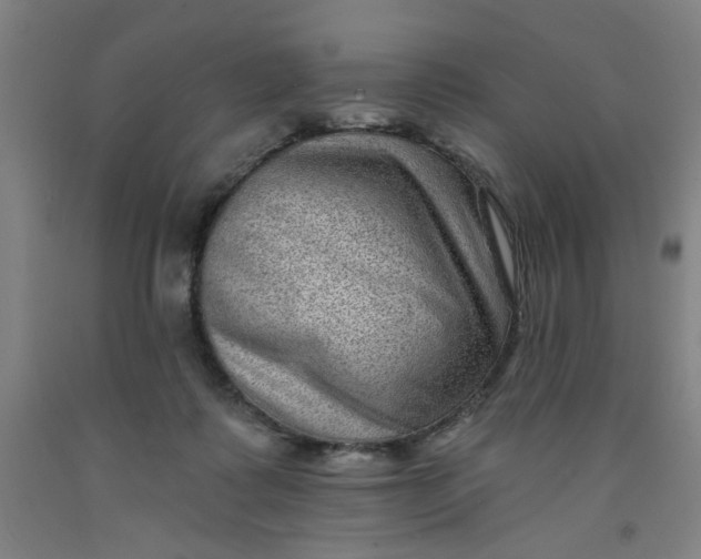 X0000091950315200709271331