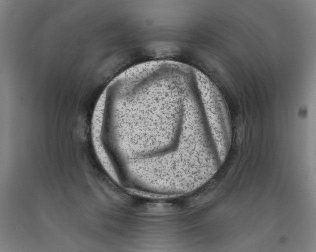 X0000091950316200709271331