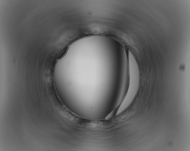 X0000091950317200709271331