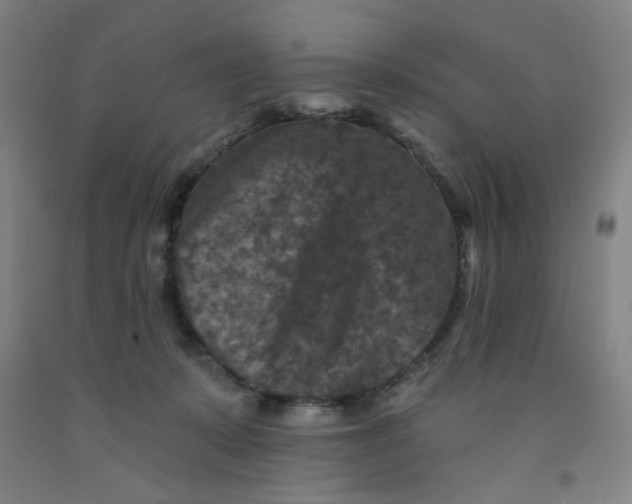 X0000091950319200709271331