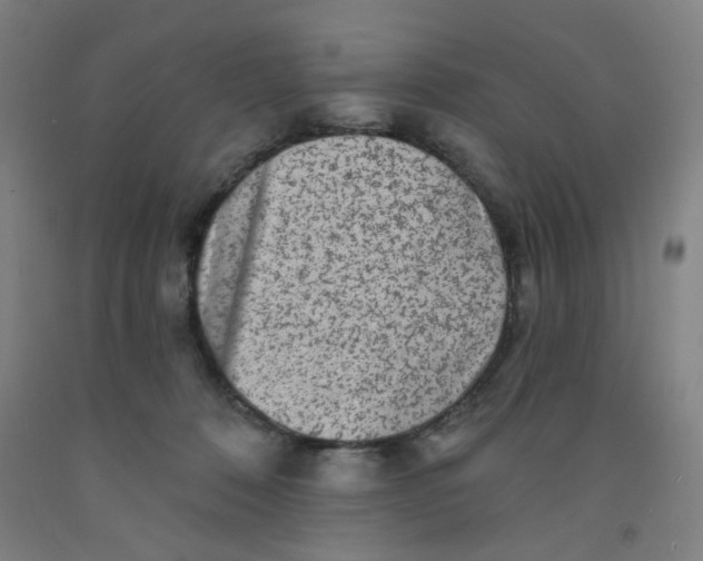 X0000091950320200709271331