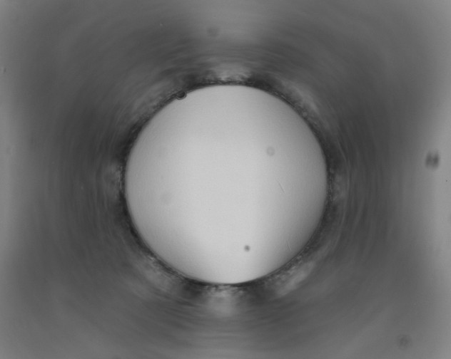 X0000091950321200709271331