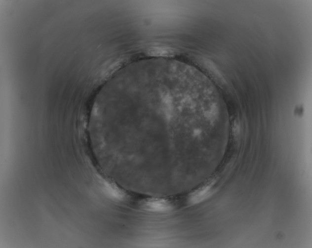 X0000091950322200709271331