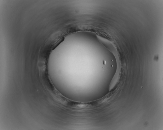 X0000091950323200709271331