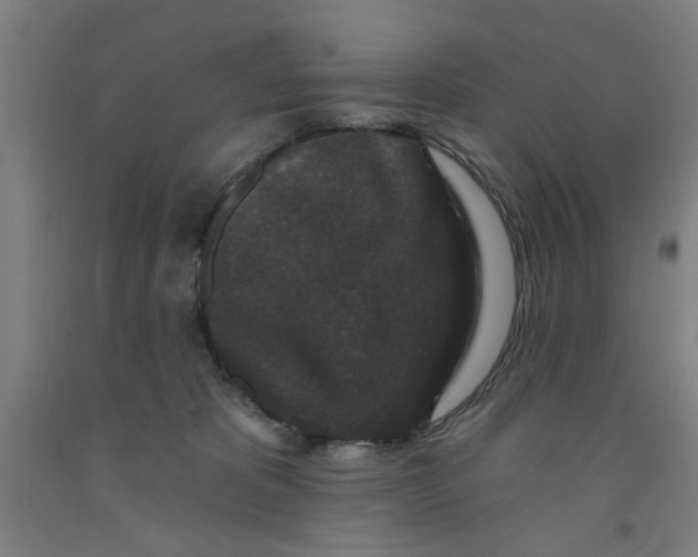 X0000091950325200709271331