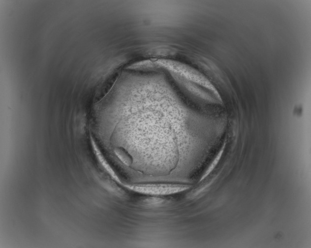 X0000091950326200709271331