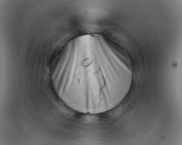 X0000091950327200709271331