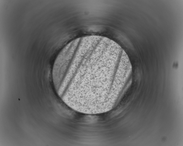 X0000091950328200709271331