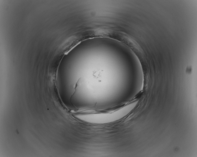 X0000091950329200709271331