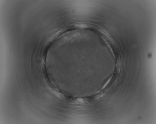 X0000091950330200709271331