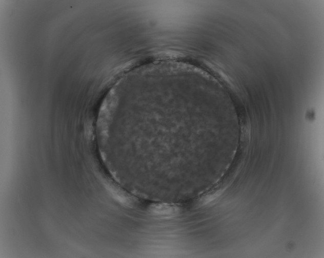 X0000091950331200709271331