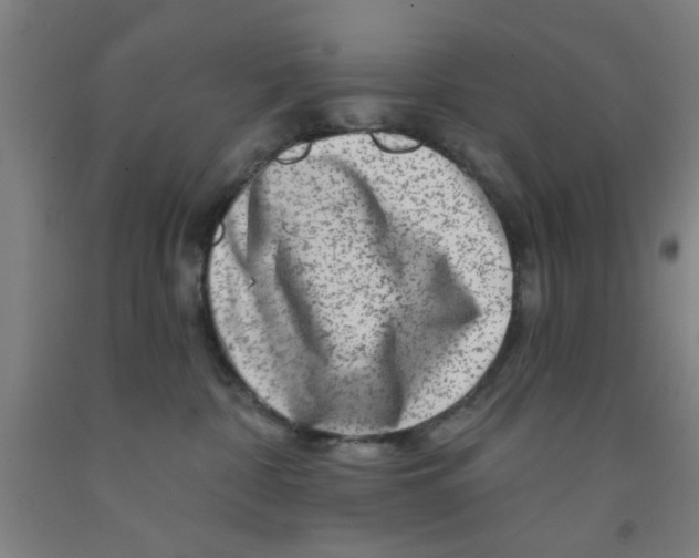 X0000091950332200709271331